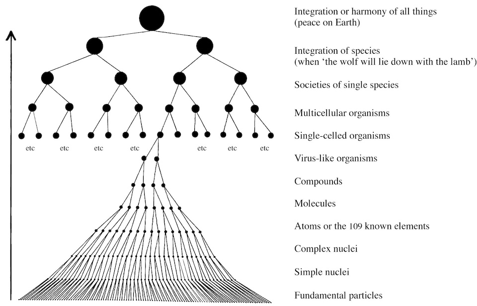 Development of Order or Integration of Matter. A similar chart appears in Arthur Koestler’s book Janus: a summing up, 1978.