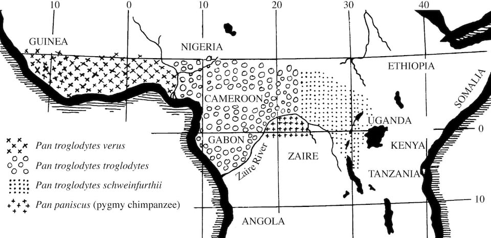 Equatorial Africa, showing distribution of the four varieties of chimpanzee. After a drawing in Adolph Schultz’s, The Life of Primates, 1969.