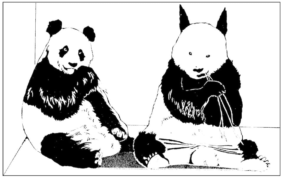 Would we care if they weren’t so cute? White out the black eye spots and give the earspoints, and the panda loses much of its appeal.