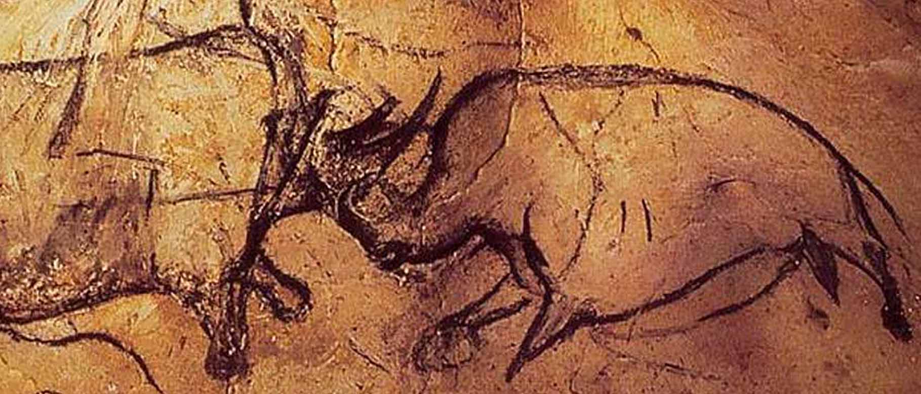 A drawing of fighting rhinos from the Chauvet Cave in France