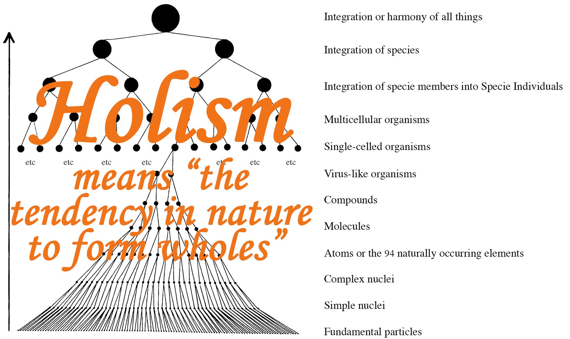 Holism - The Tendency in Nature to Form Wholes