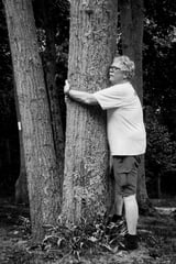 What is wrong with hugging trees?