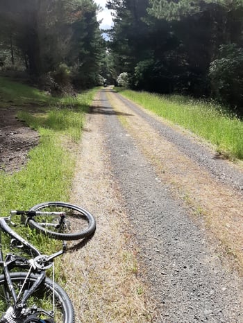 Bike on forest track