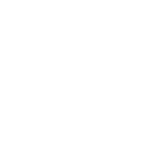 WTM Rising Sun Logo